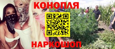 Альфа ПВП Тверь