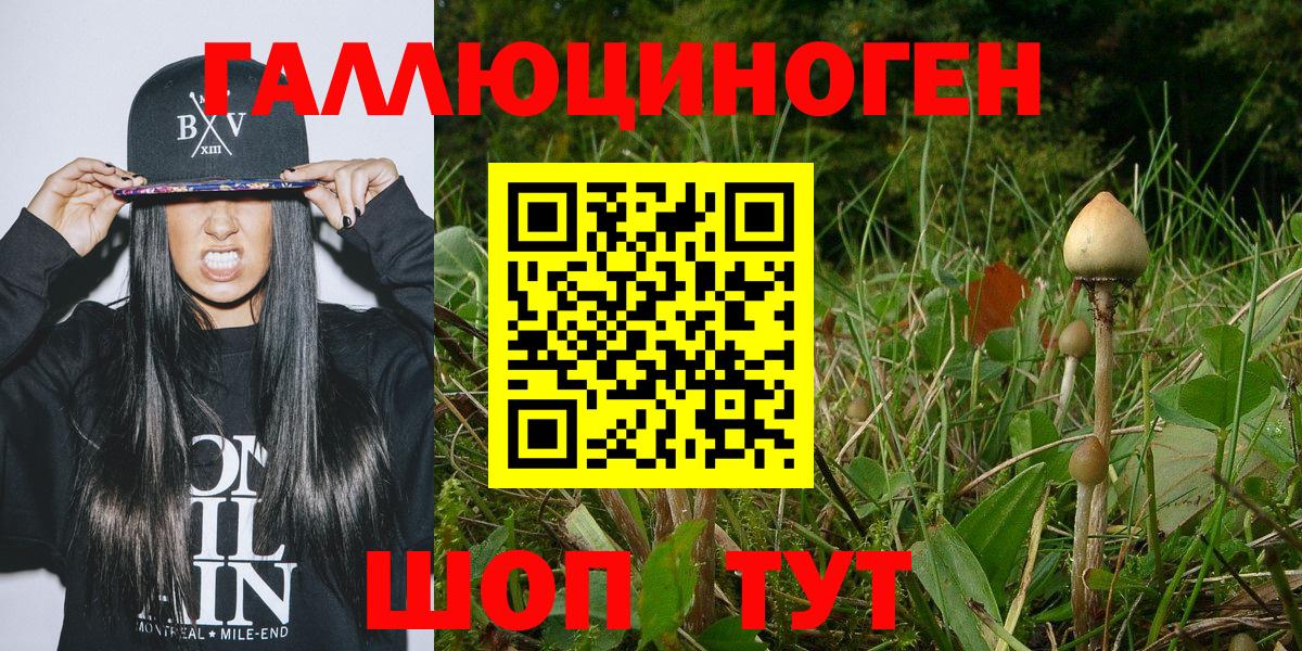 Псилоцибиновые грибы Psilocybe  закладки  Похвистнево  Галлюциногенные грибы Cubensis  Вход с VPN 